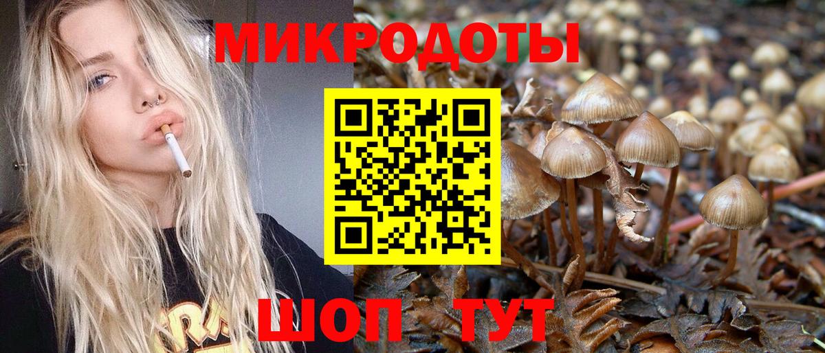 Псилоцибиновые грибы мицелий  купить   Баксан  Вход с VPN 